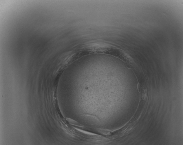 X0000061151108200511241823