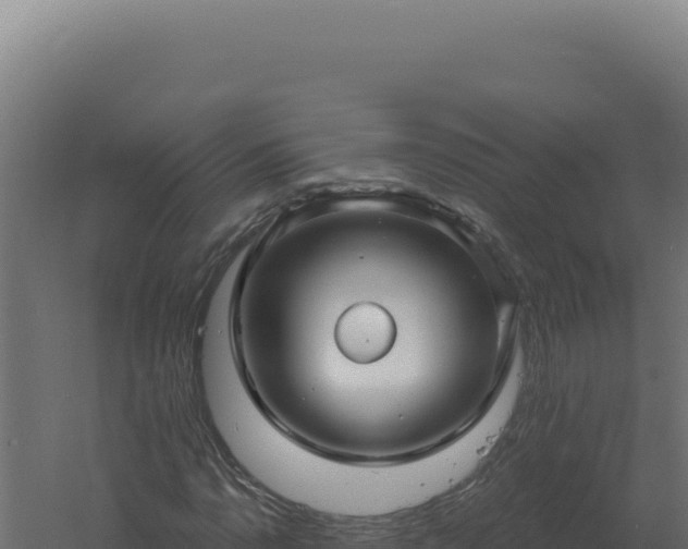 X0000061151110200511241823