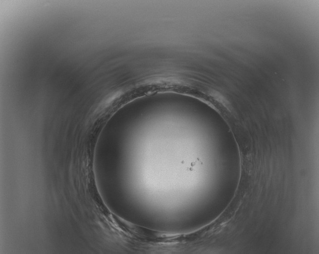 X0000061151111200511241823