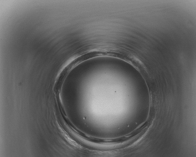 X0000061151114200511241823