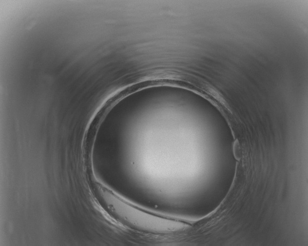 X0000061151116200511241823