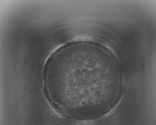 X0000061151117200511241823