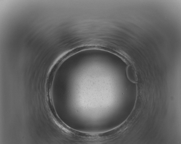 X0000061151120200511241823