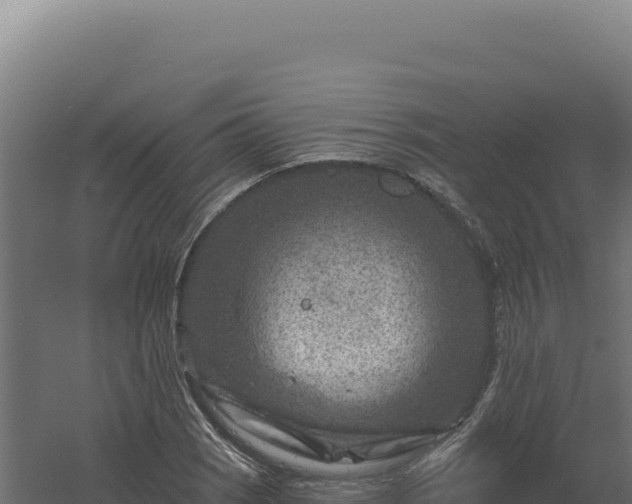 X0000061151121200511241823