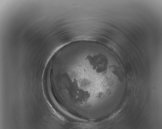 X0000061151125200511241823