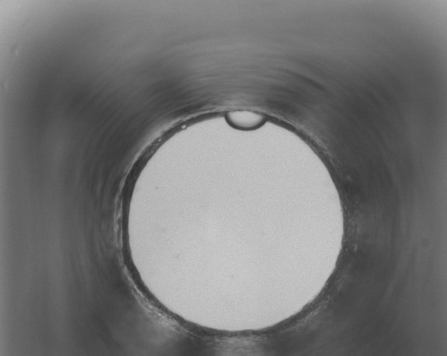 X0000061151126200511241824