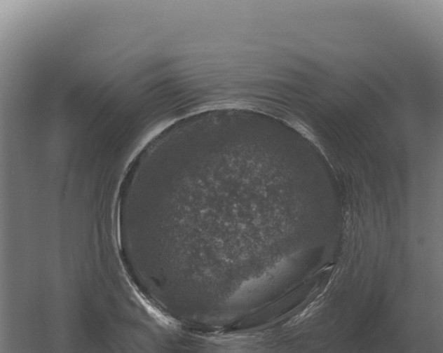 X0000061151127200511241824