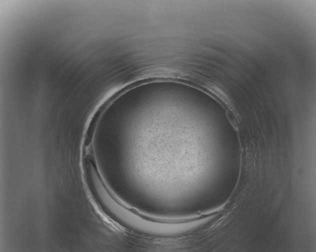 X0000061151128200511241824