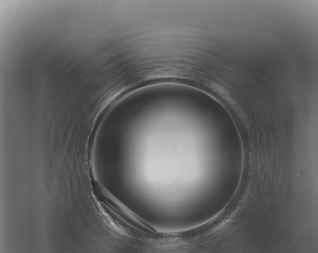 X0000061151129200511241824