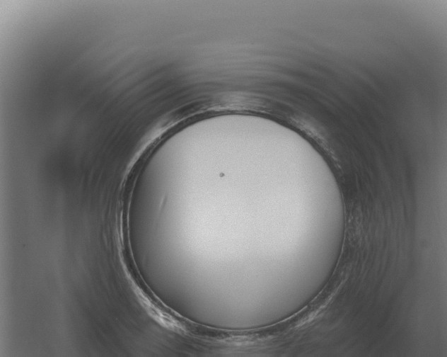 X0000061151130200511241824