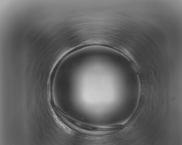 X0000061151132200511241824