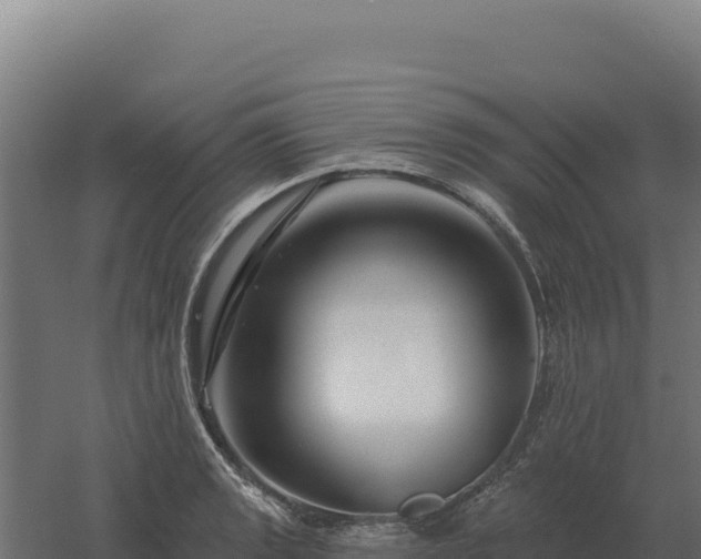 X0000061151133200511241824