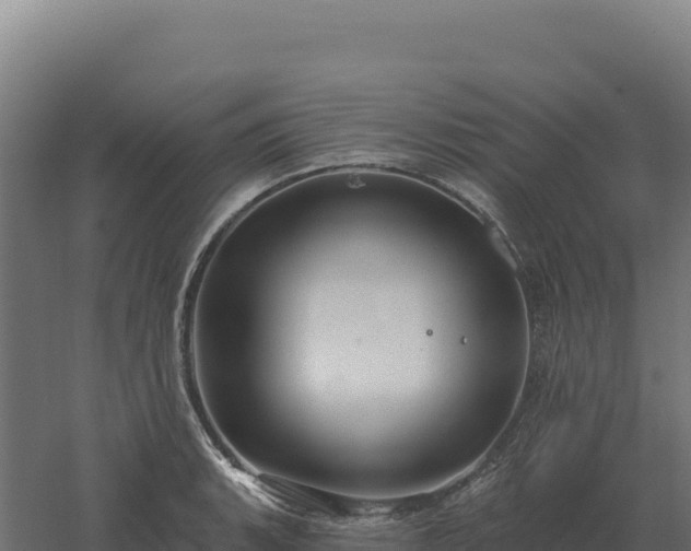 X0000061151135200511241824