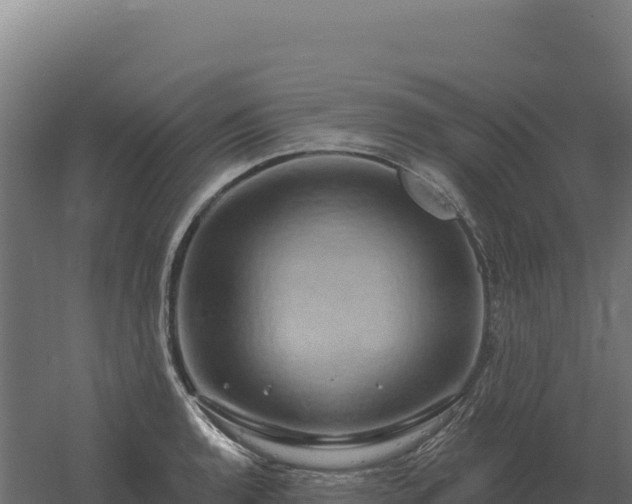 X0000061151136200511241824