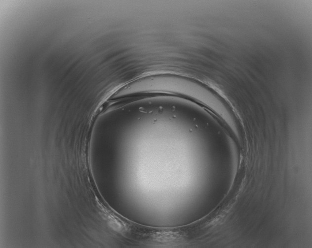 X0000061151137200511241824