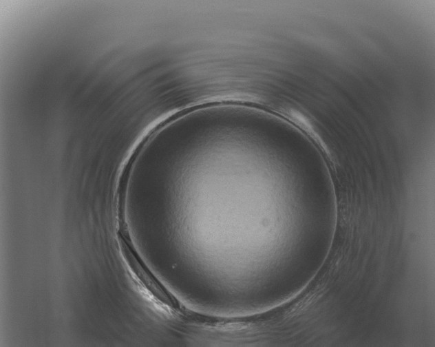 X0000061151140200511241824