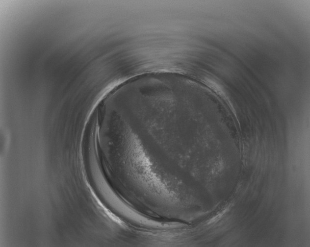 X0000061151141200511241824