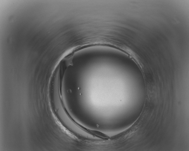 X0000061151142200511241824