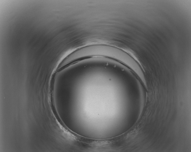 X0000061151143200511241824