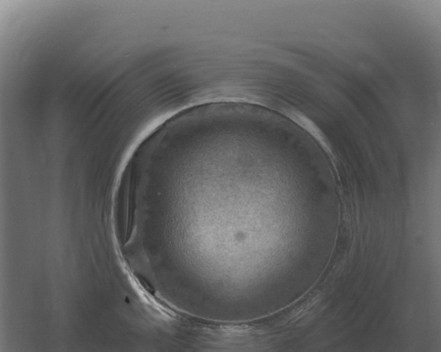 X0000061151144200511241824