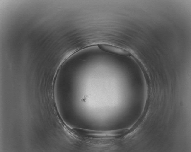 X0000061151145200511241824