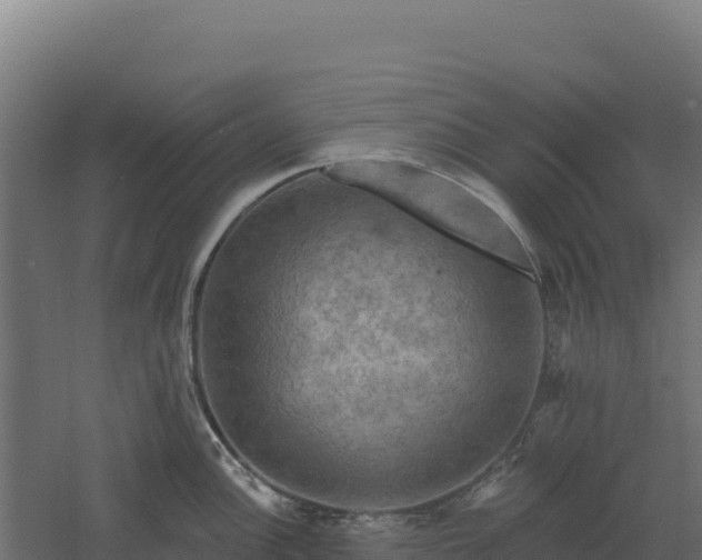 X0000061151148200511241824