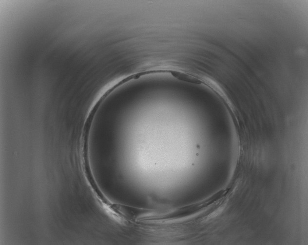 X0000061151149200511241824