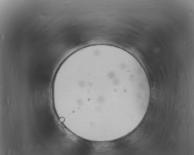 X0000061151150200511241824