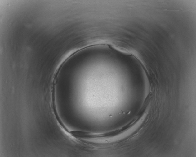 X0000061151151200511241824