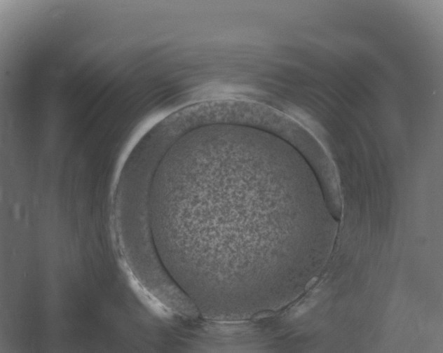 X0000061151152200511241824