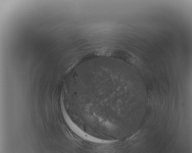 X0000061151154200511241823