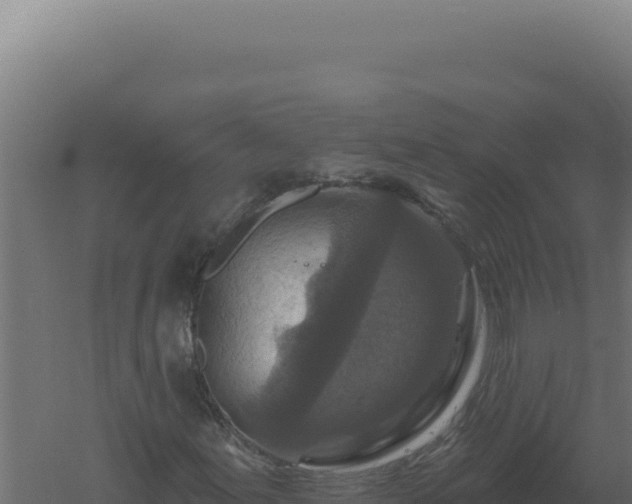 X0000061151155200511241823