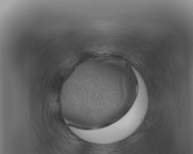 X0000061151156200511241823