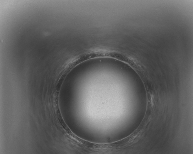 X0000061151157200511241823