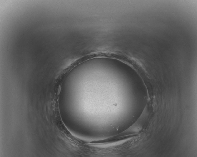 X0000061151159200511241823