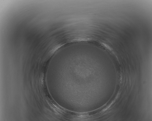 X0000061151161200511241823