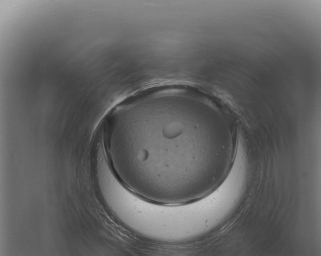 X0000061151165200511241823