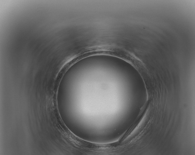 X0000061151166200511241823