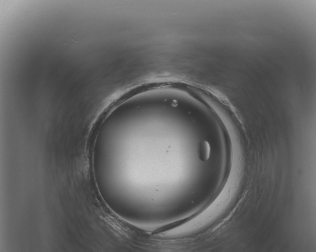 X0000061151167200511241823