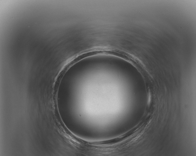 X0000061151168200511241823