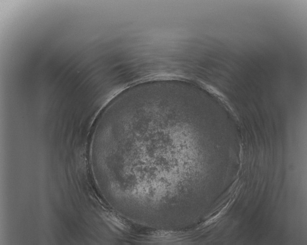 X0000061151170200511241823