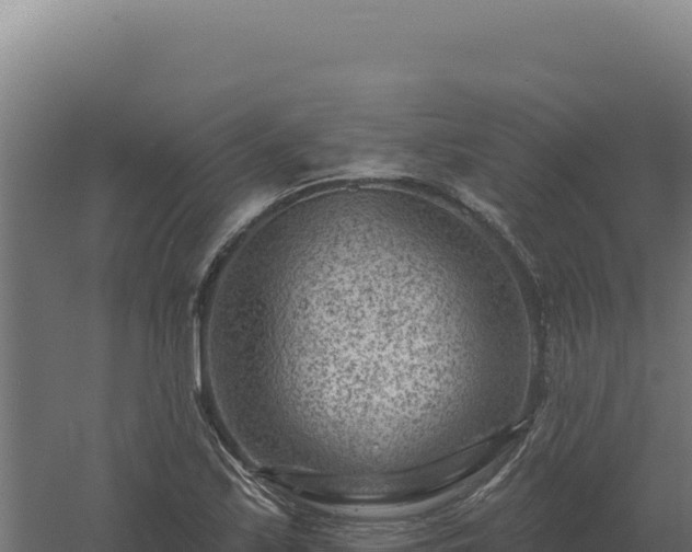 X0000061151171200511241823