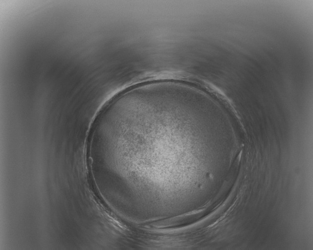 X0000061151174200511241823