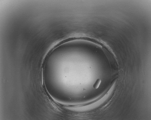 X0000061151175200511241823