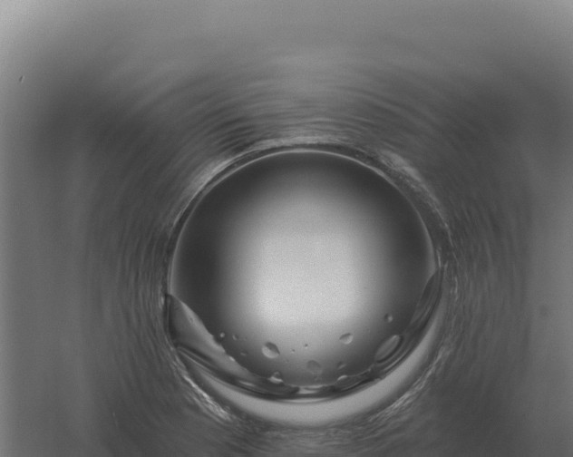 X0000061151177200511241823