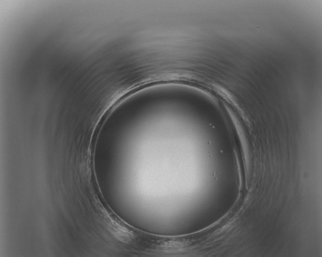 X0000061151178200511241823