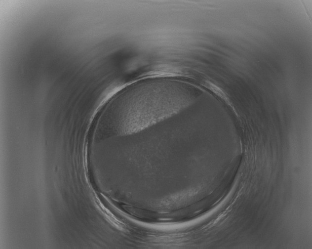 X0000061151179200511241823