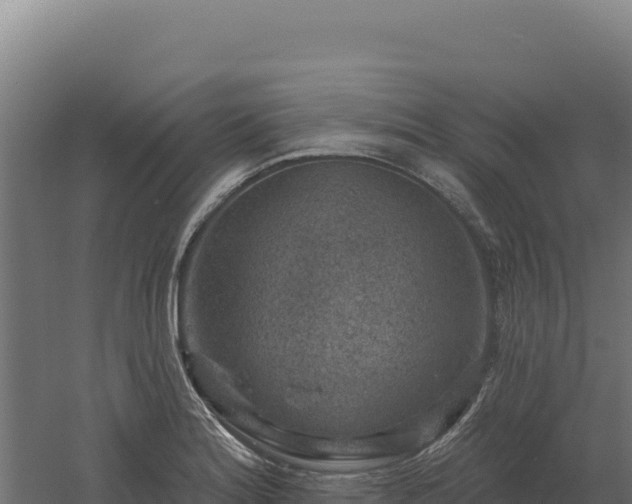 X0000061151180200511241823