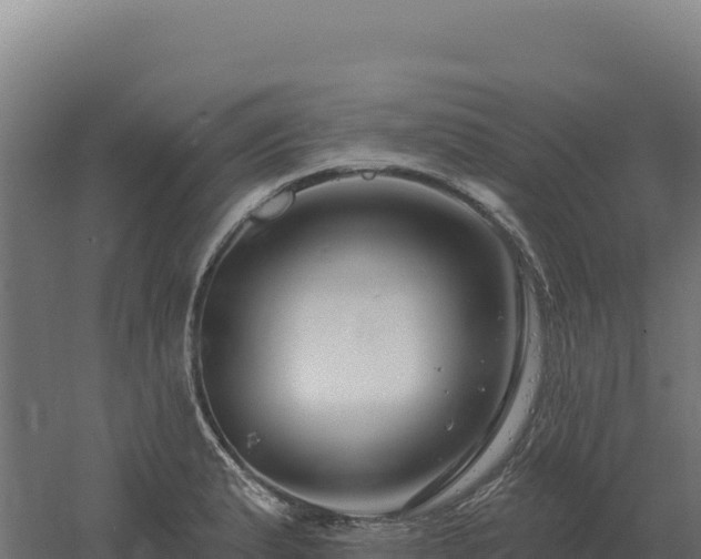 X0000061151183200511241823