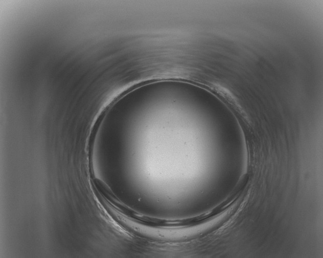 X0000061151184200511241823